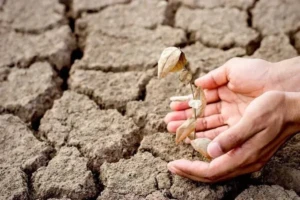 El Niño 2026 Could Be Strongest on Record El Niño 2026 Could Be Strongest on Record