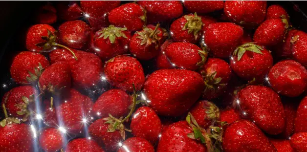 Ukraine Strawberry Prices Climb as Harvest Season Ends