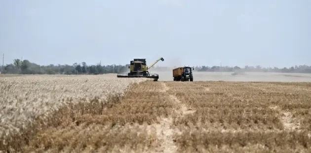 Poltava Region Reports Bumper Wheat Harvest Milestone Poltava Region Reports Bumper Wheat Harvest Milestone