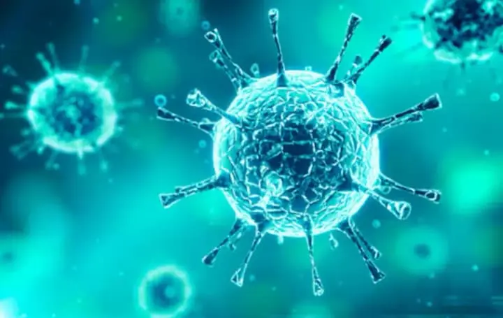 Live Virus Found in Russian Dog Vaccine Live Virus Found in Russian Dog Vaccine